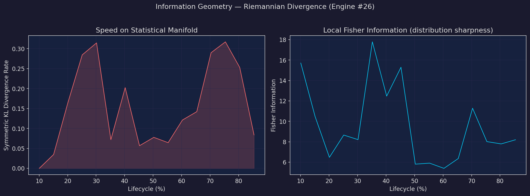 Information geometry